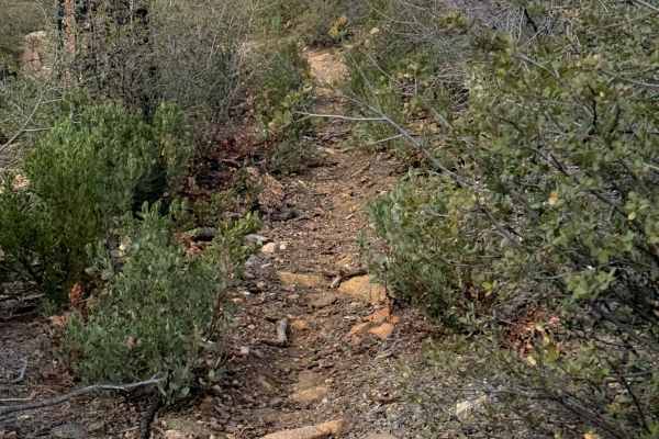 Cement Troughs Trail #918 