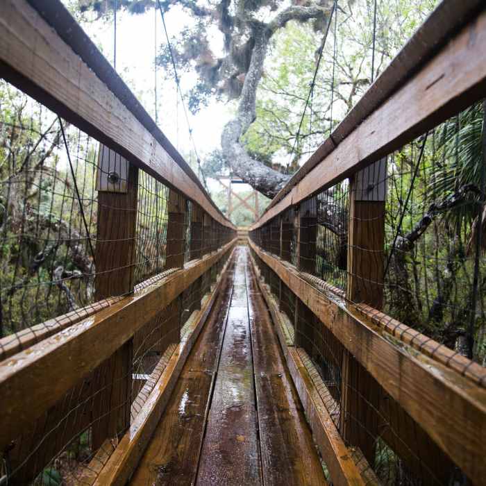 Near William Boylston Nature Trail