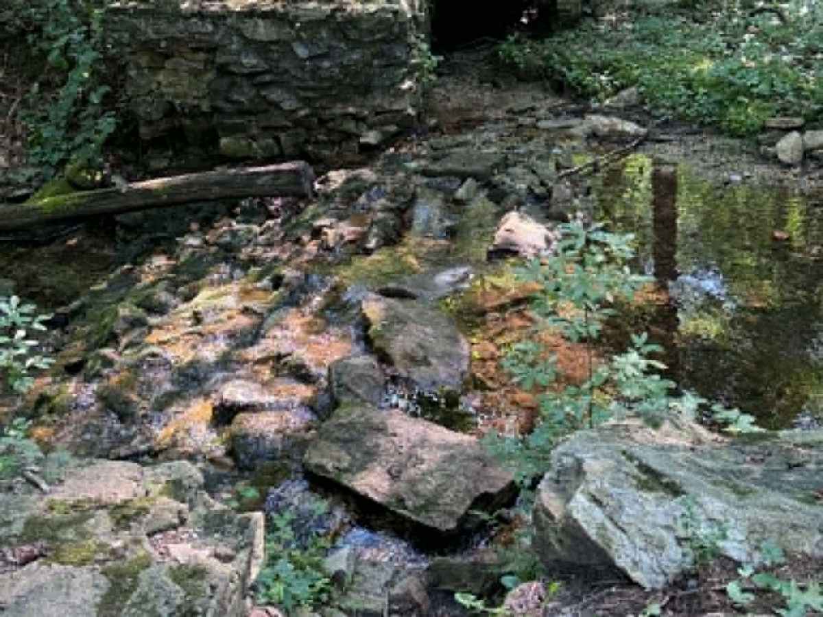 Big Pond Hollow photo 5