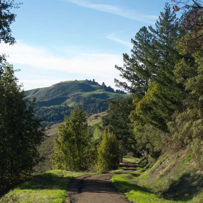 Near Mindego Hill Trail