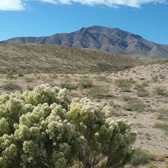 Near North Hills Dam Trail