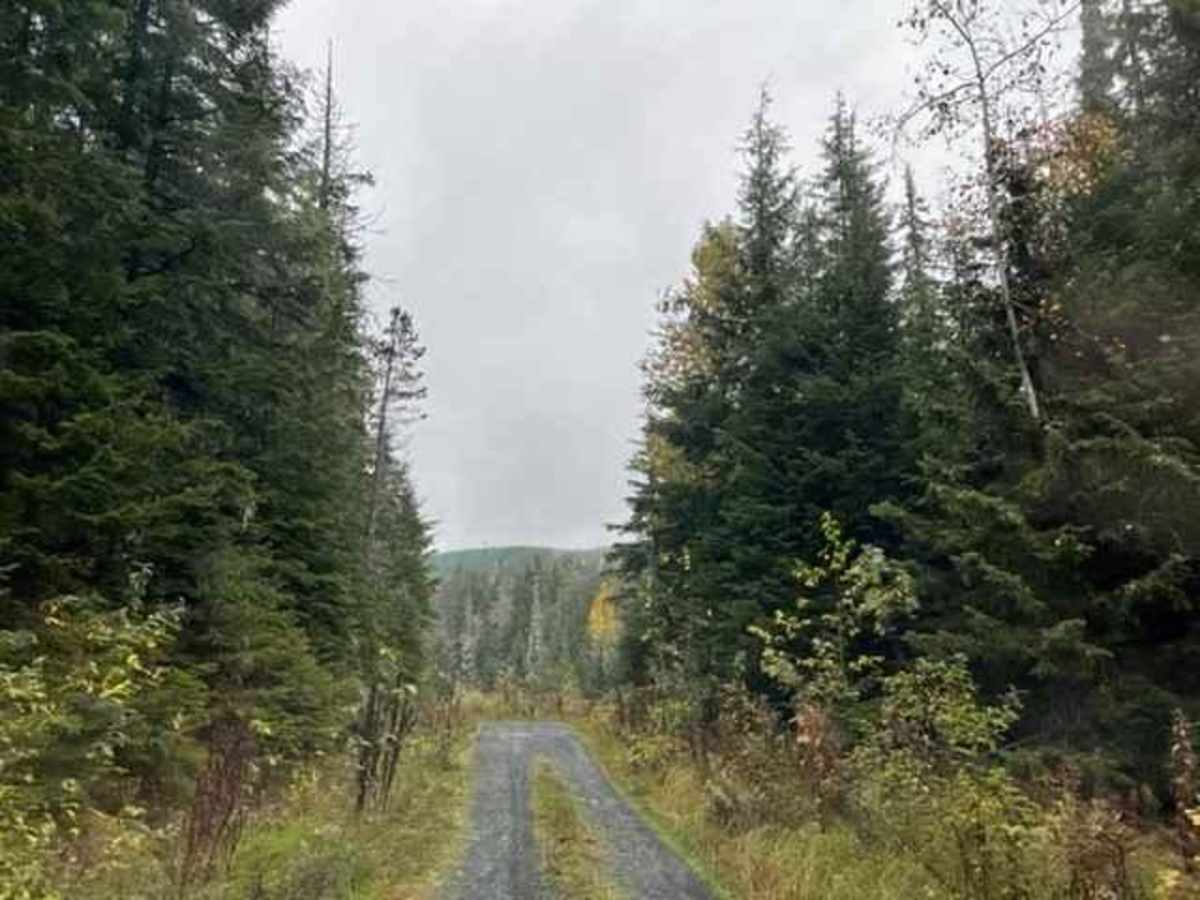Jigsaw Lake Recreational Site photo 2