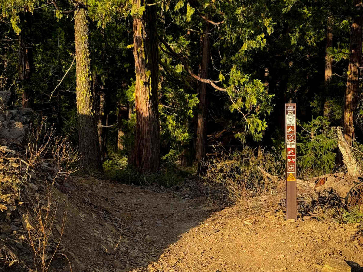 Kings Crossing  photo 2