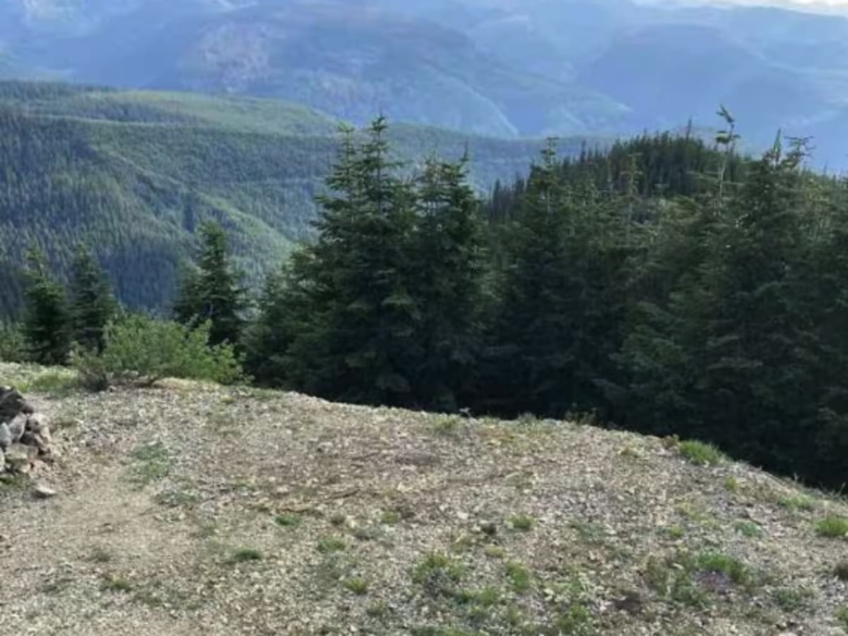 Williams Hole - FS 7032 photo 6