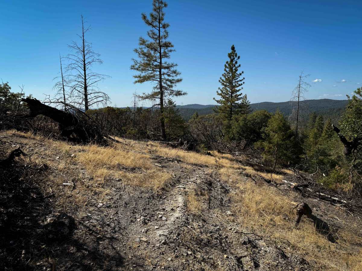 Trail 1-5 (11E51)  trail photo