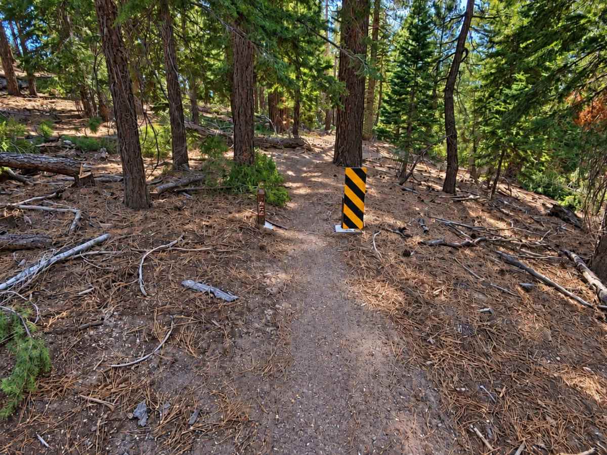 FS 27E206 trail photo