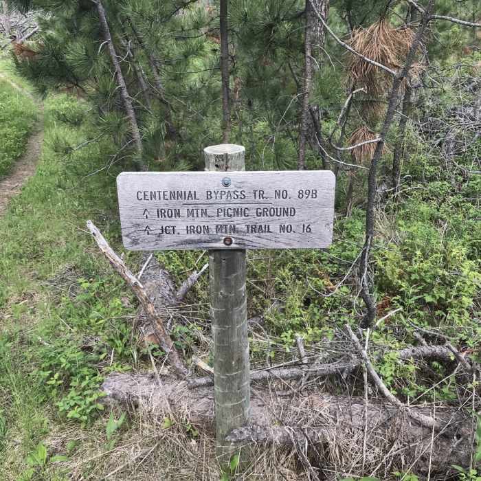 Trail marker. Near Centennial On Hell #89-HC
