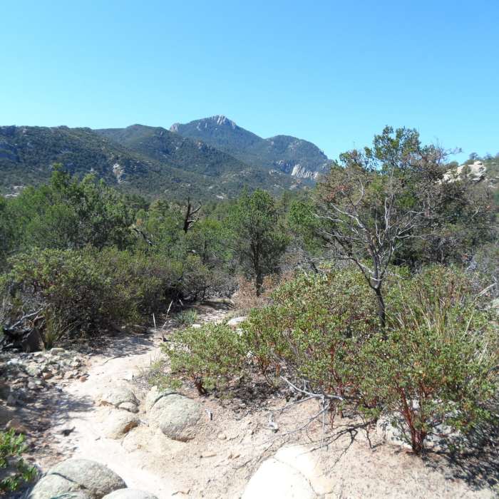 Looking at Rincon Peak from the start of the trail, near Happy Valley Campground. Near Rincon Peak