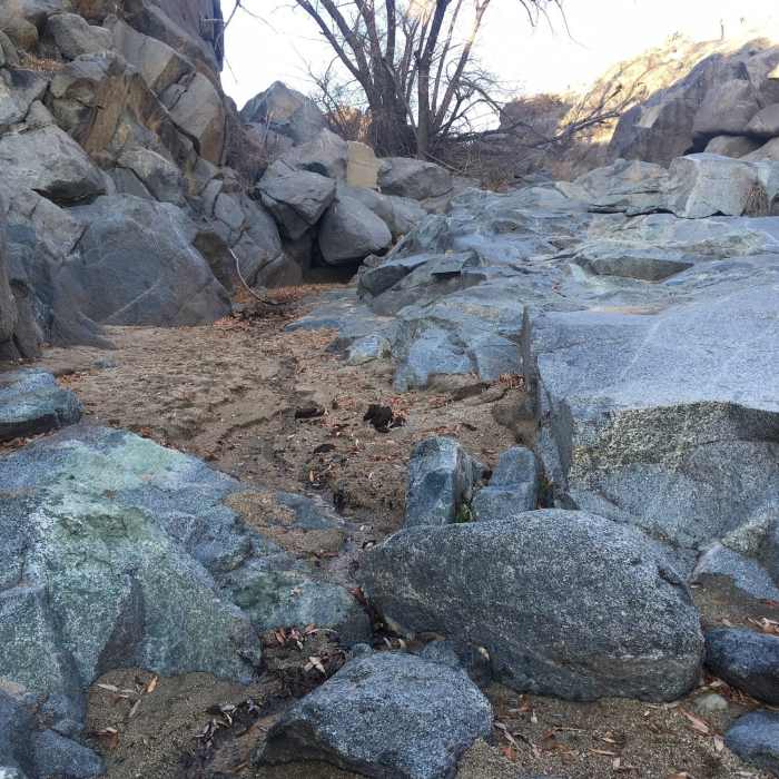 Near Rock Springs Loop Trail