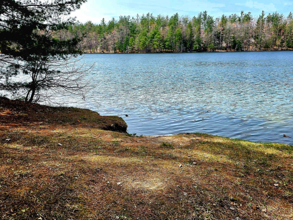 County Line Road photo 6