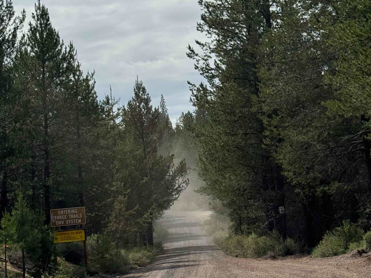 FS 9751 trail photo
