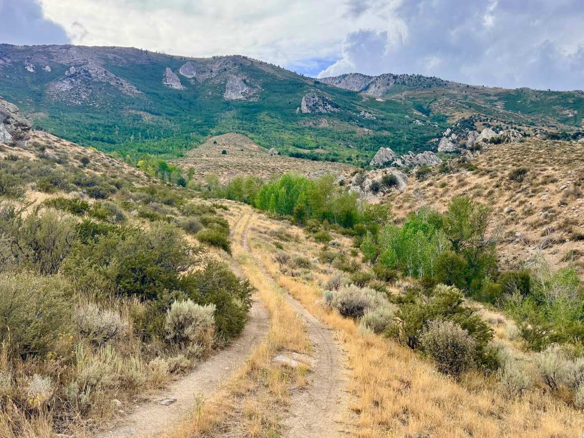Tipton Canyon - FS 57831 trail photo