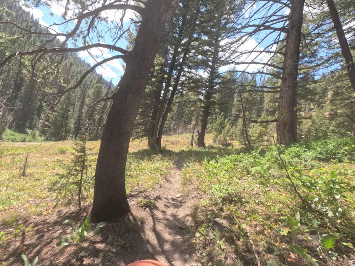 Paradise Creek - FS 7070 photo 6