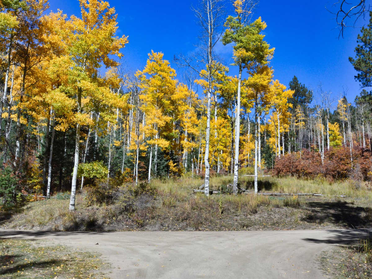 Pacheco Canyon photo 2