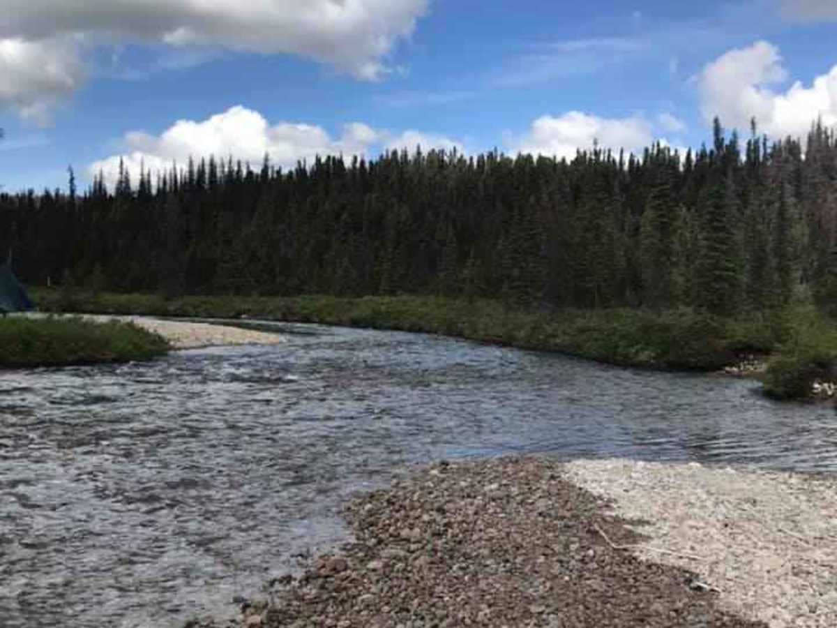 Purches Creek photo 2