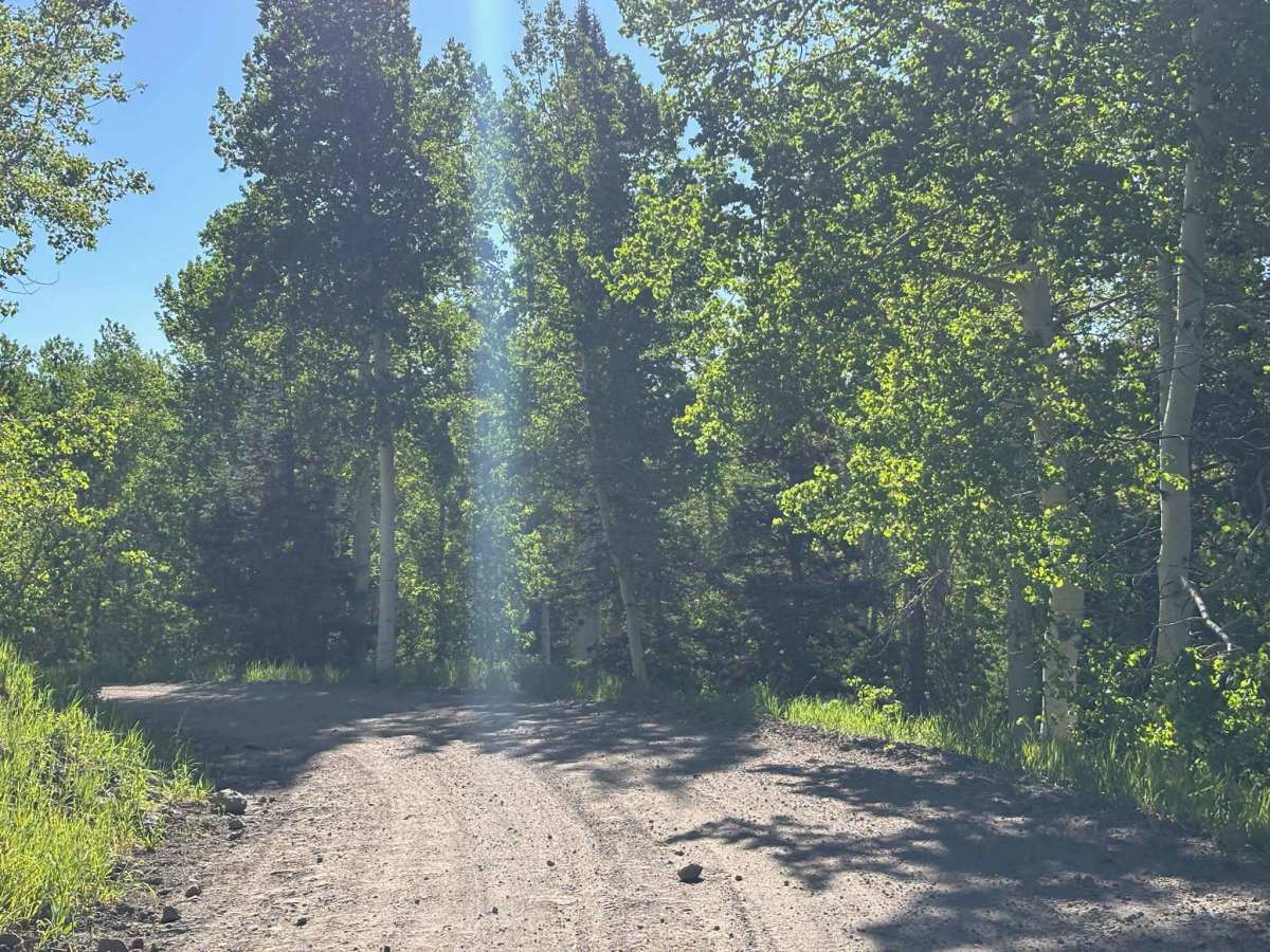 Meadow Lake Road photo 5