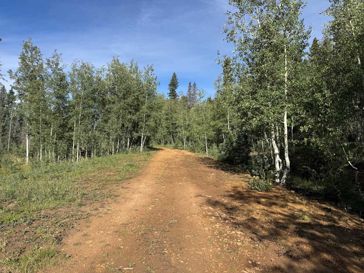 Little Hell Road photo 2