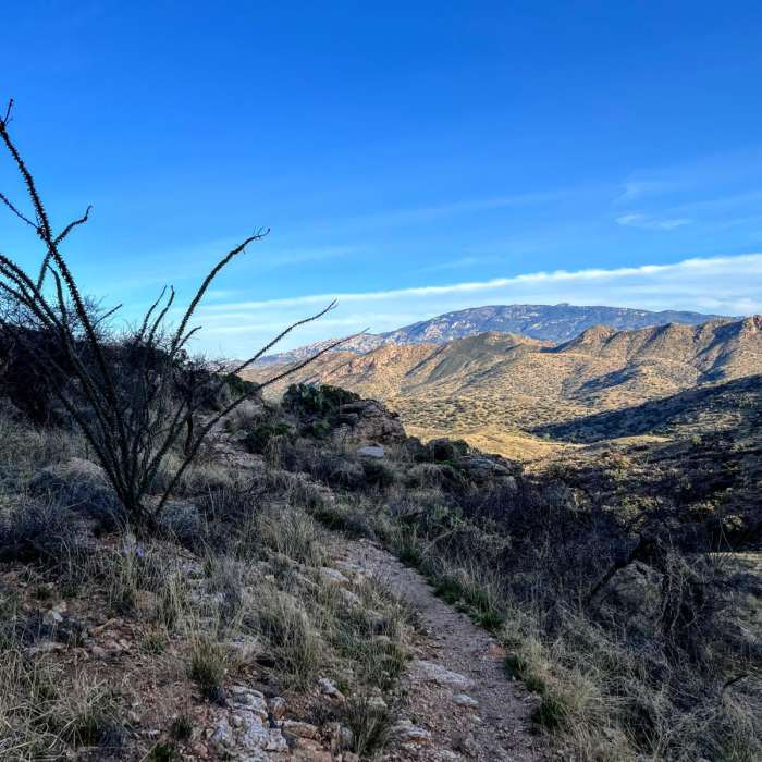 Near Arizona Trail Passage 10: Redington Pass