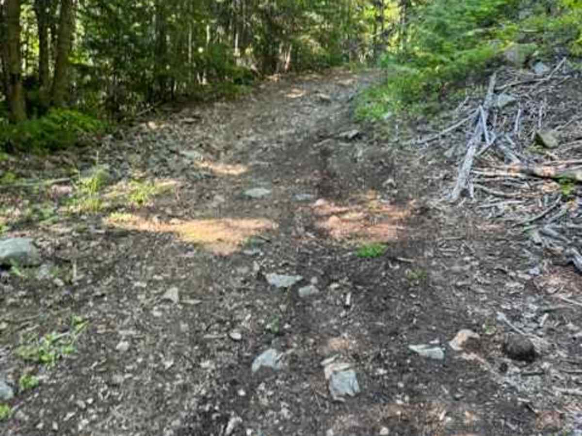 Vernon Hill  photo 5