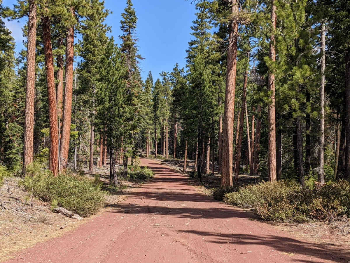 Lower Cross District Trail photo 6
