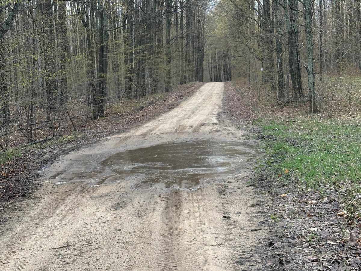 Post Road photo 4