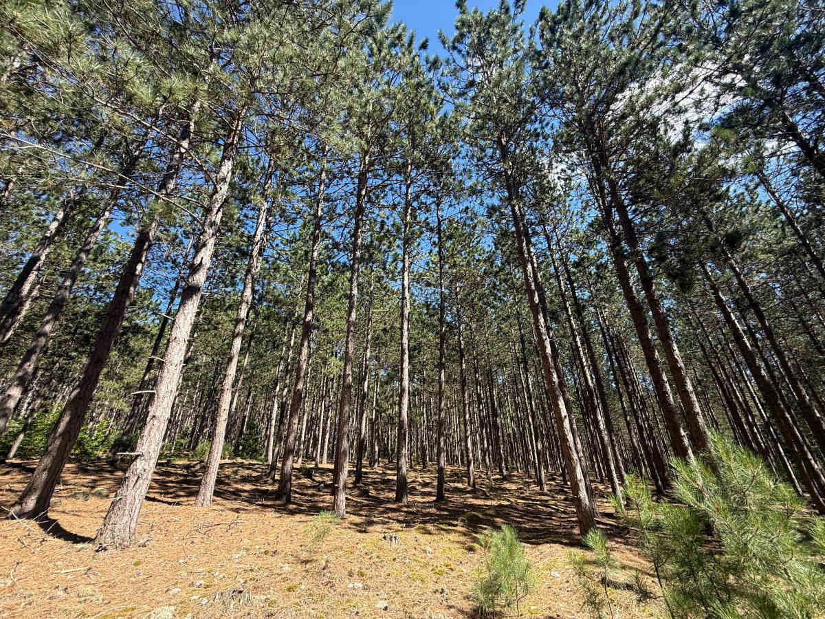 Lumley-Glovers Trail photo 5