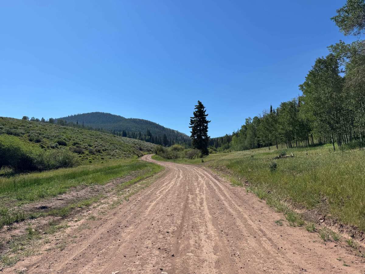 Upper Gypsum Creek Road - FS 101 photo 3