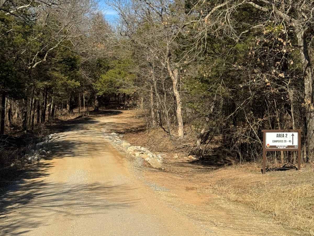 Area 2 trail photo