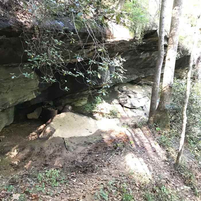 Near Moonshine and Confusion Falls Trail