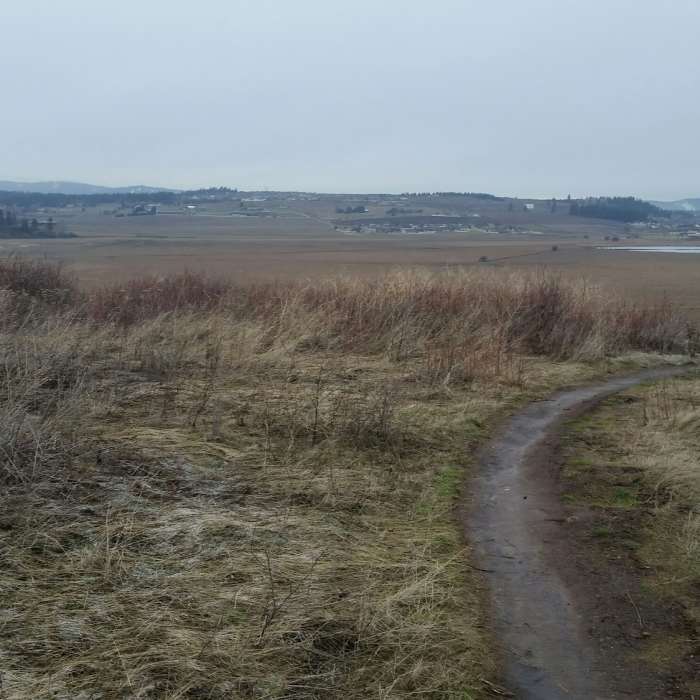 Near Uplands Loop