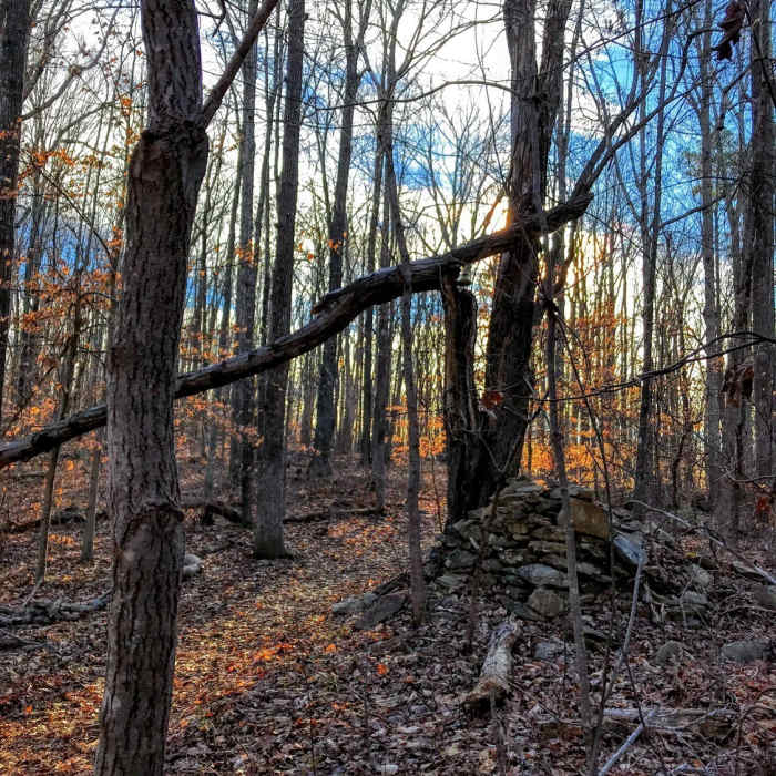 Near Birkhead Mountain Trail
