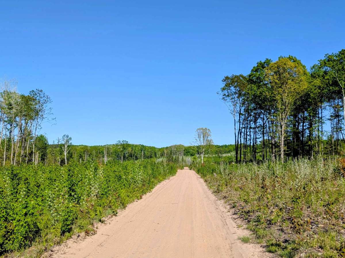 Devil Creek Road (Kalkaska Route - KKR) trail photo