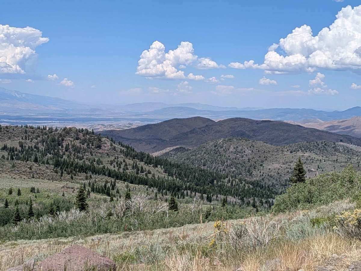 Leviathan Lookout - FS 31057 photo 6