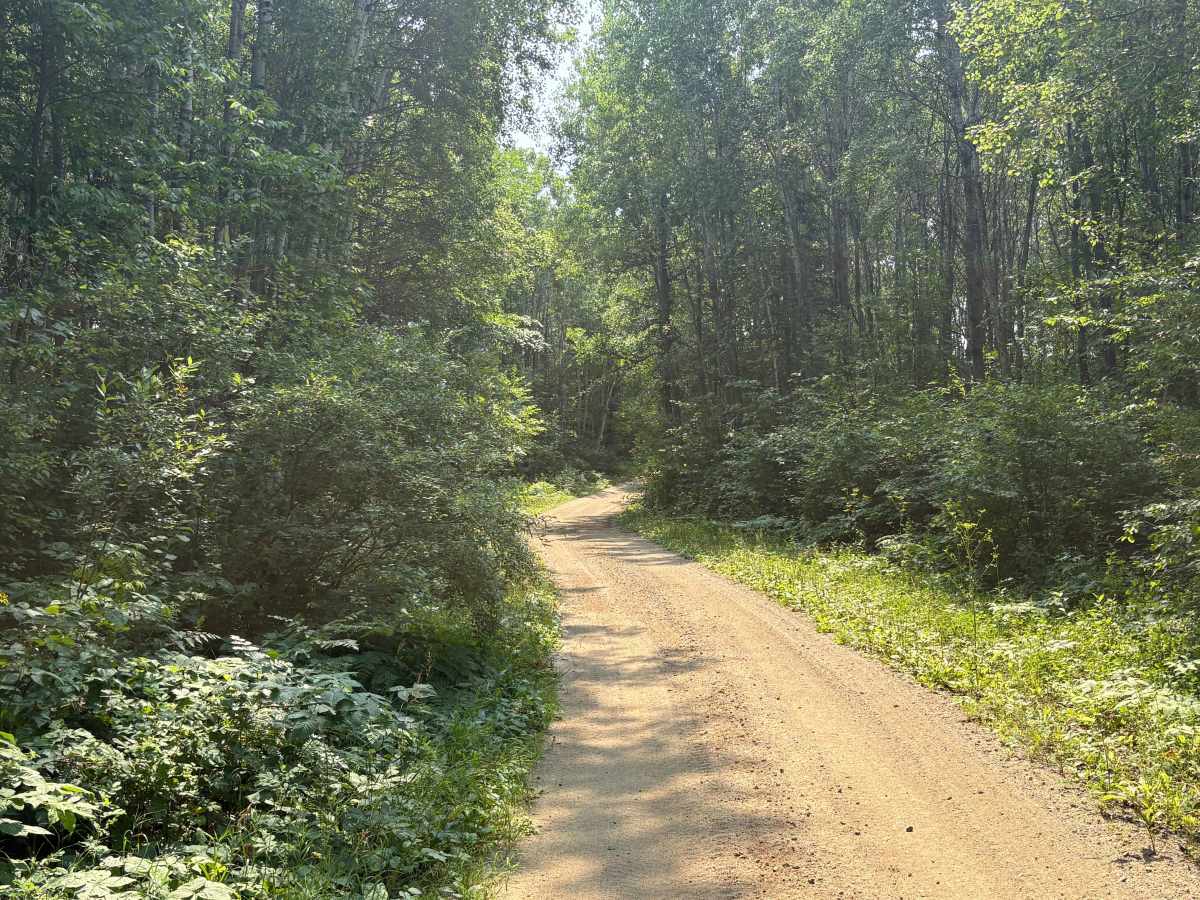 Forest Road 0402 photo 4