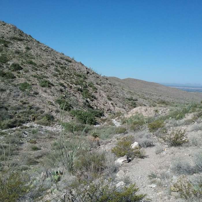 Near Schaeffer Shuffle