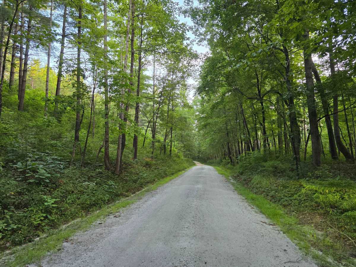 Cedar Creek Rifle Range - FS 726 trail photo