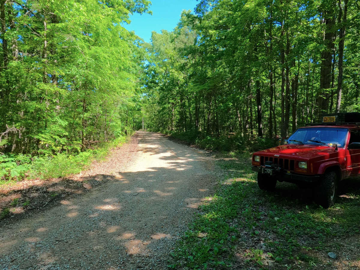 Bradley Ridge - FS 3521 photo 3
