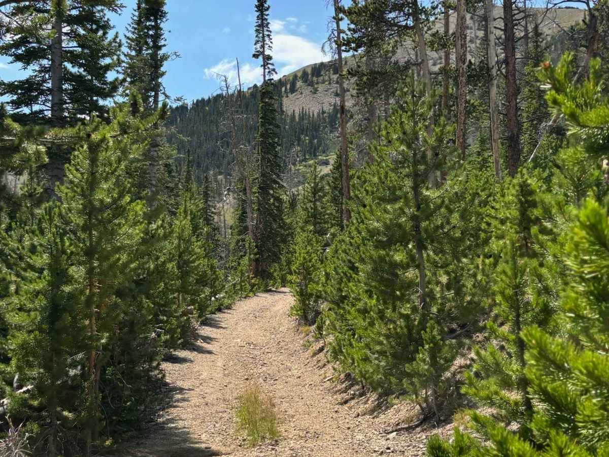 Parkview Mountain Mine photo 4