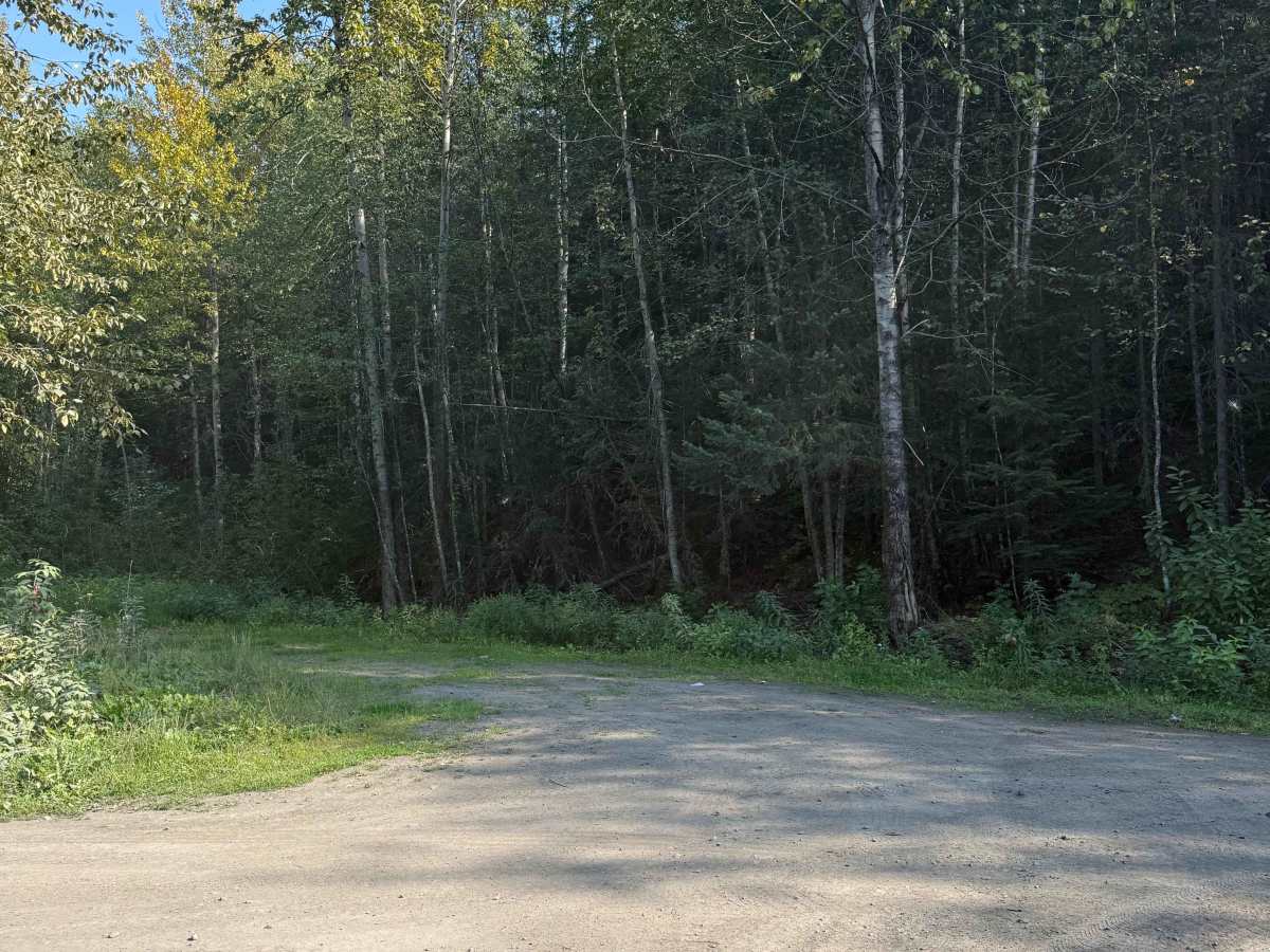 Cranberry Forest Service Road photo 2