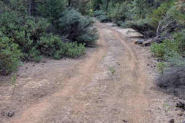 Skip Road - FS 1N28