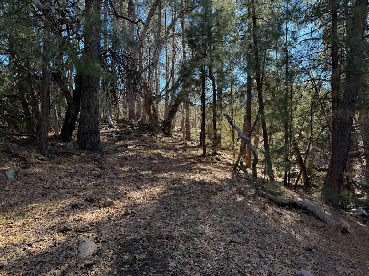 7 Up Trail #5  photo 6