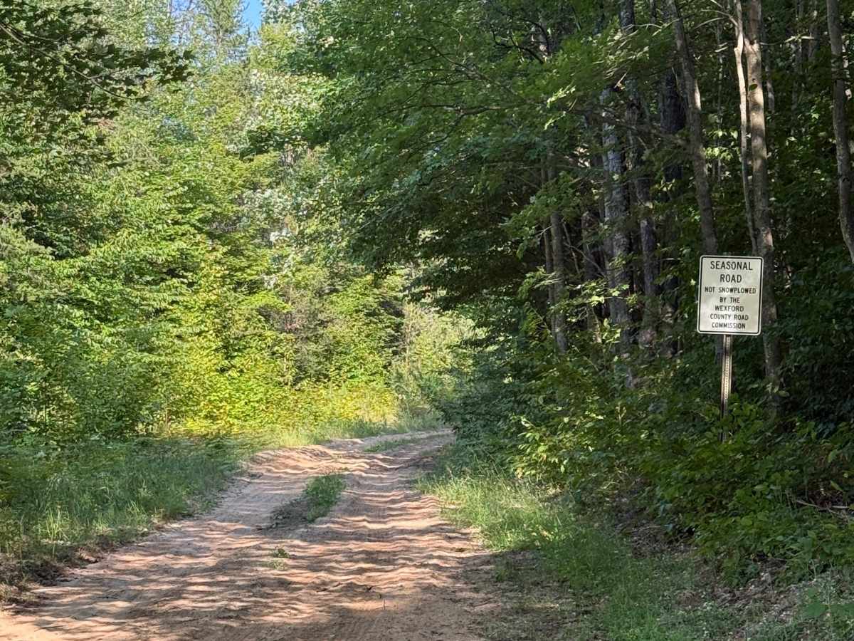 10-3.5 Trail photo 5