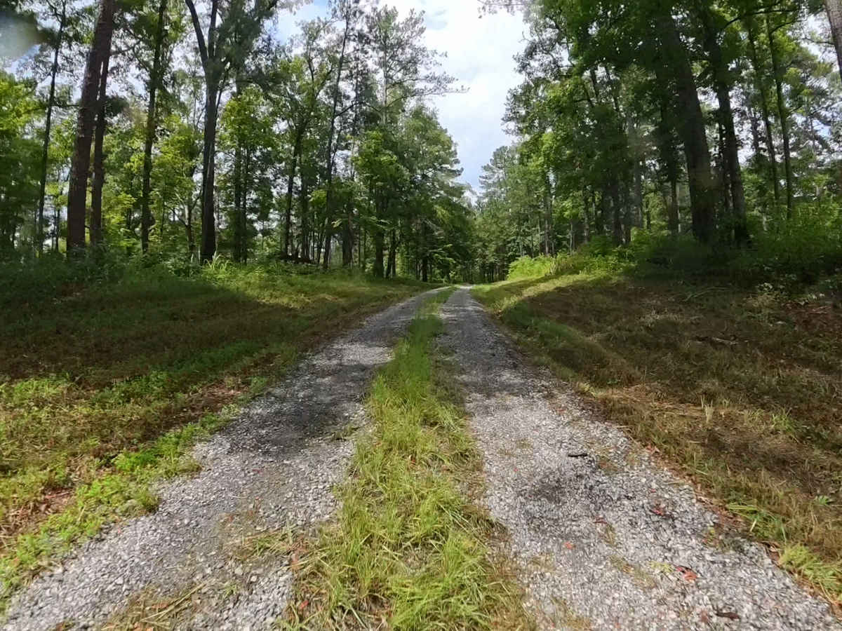 Pond 11a Access Road photo 4