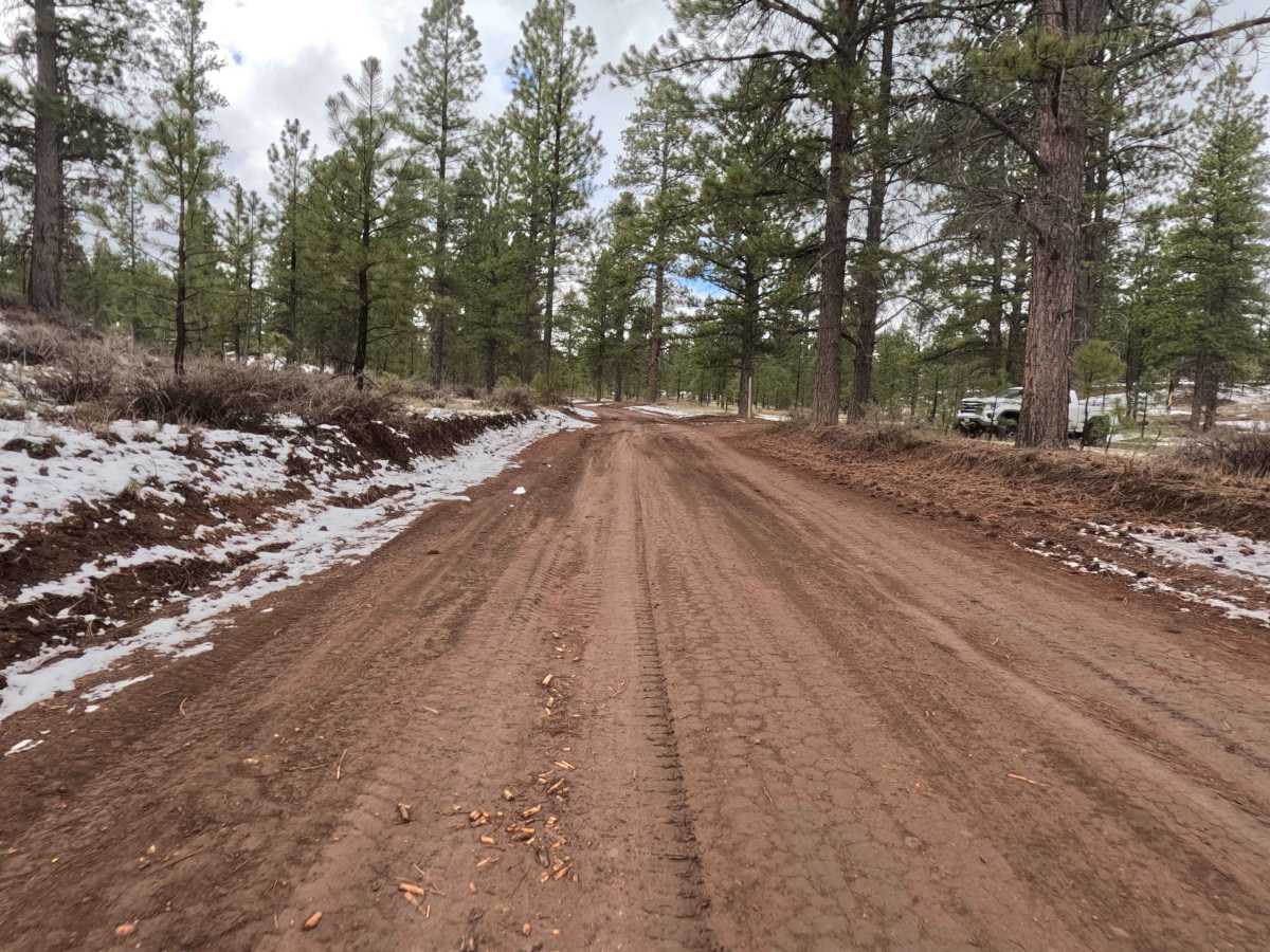 Great Western Trail - FS 30090 photo 2