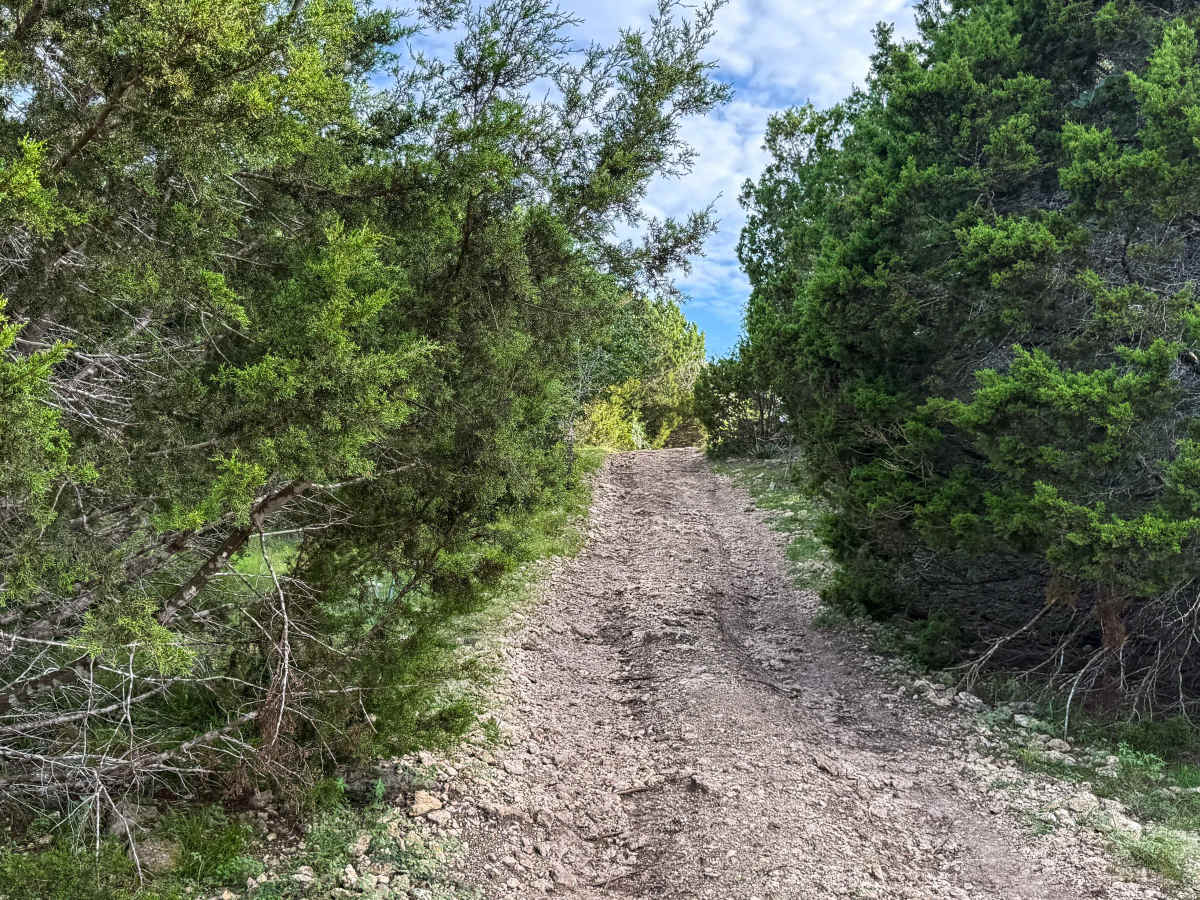 Woodrow's Chute trail photo
