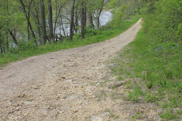 Big Springs Old Log Road