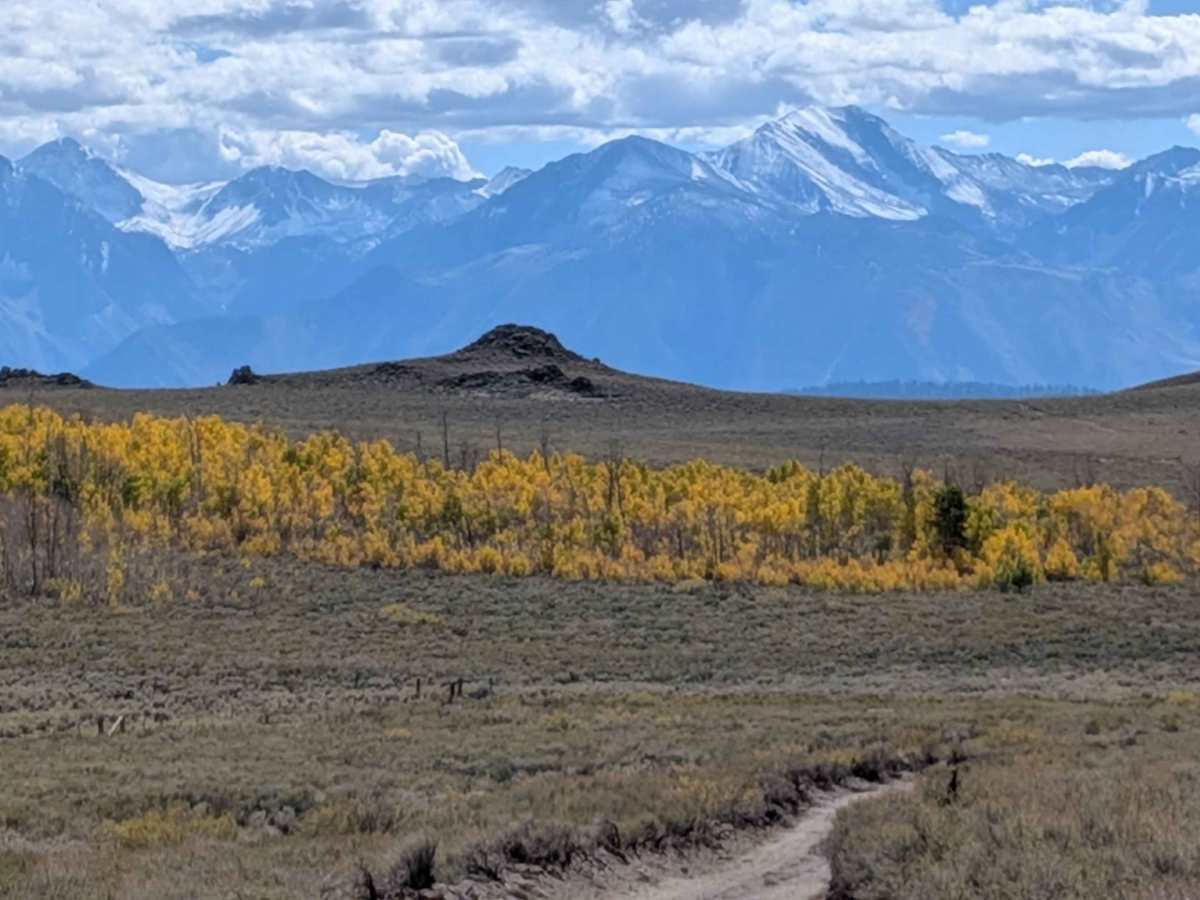 Pilot Springs photo 5
