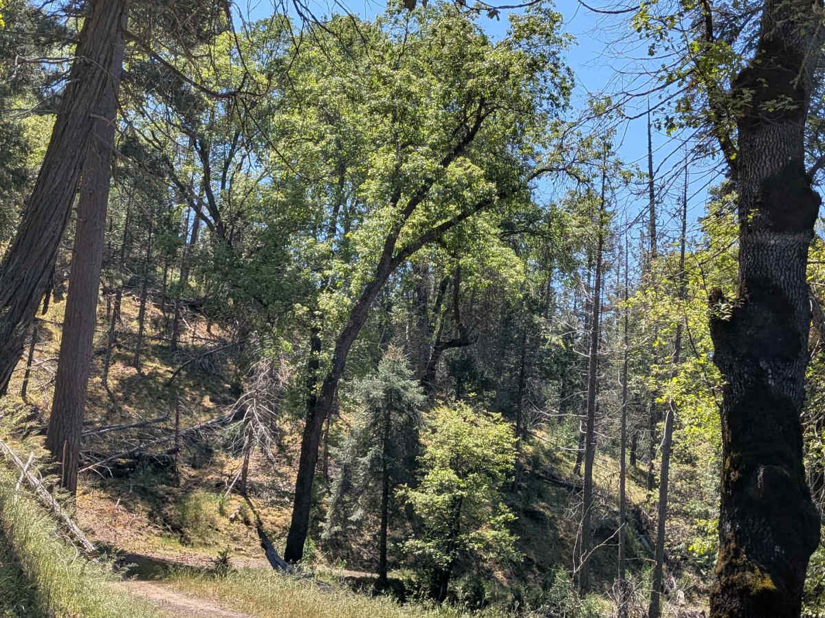 Jack Ranch - FS 24S05 photo 6