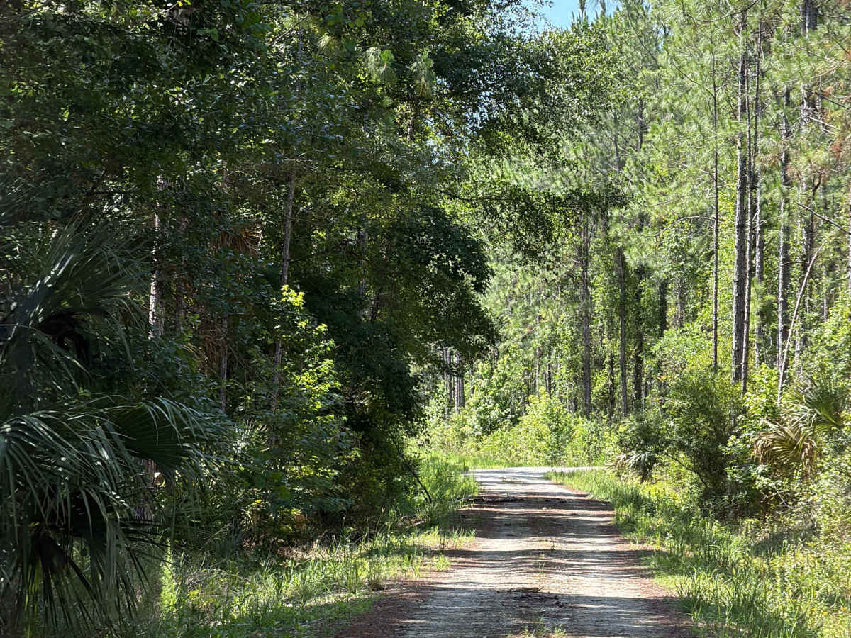 Green‘s Road photo 5