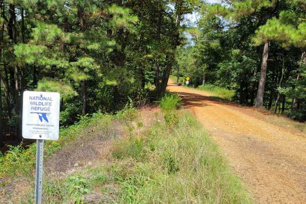Pond Creek East Side Route